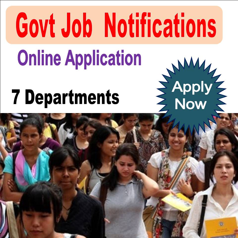 govt job online application